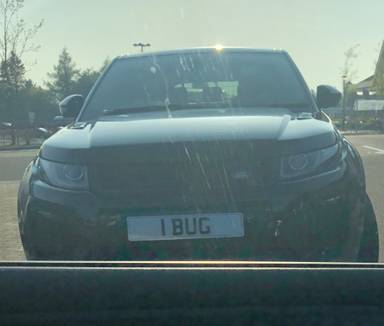 UK Number Plate 1 BUG
