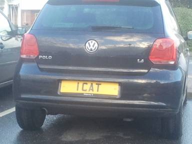UK Number Plate 1 CAT