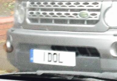 UK Number Plate 1 DOL