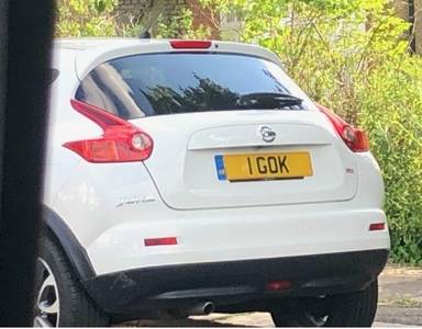 UK Number Plate 1 GOK