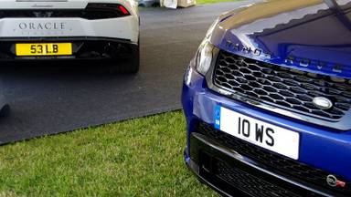 UK Number Plate 10 WS