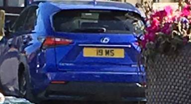 UK Number Plate 19 MS