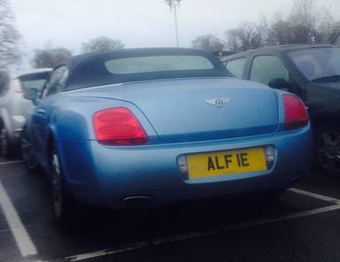 UK Number Plate ALF 1E