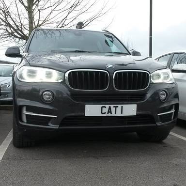 UK Number Plate CAT 1