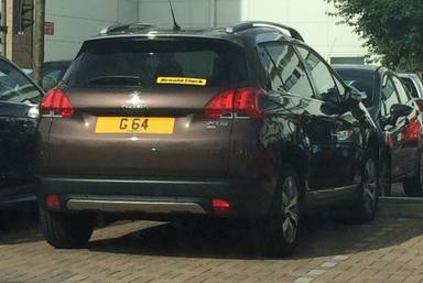 UK Number Plate G 64