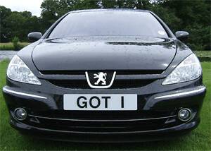 UK Number Plate GOT 1