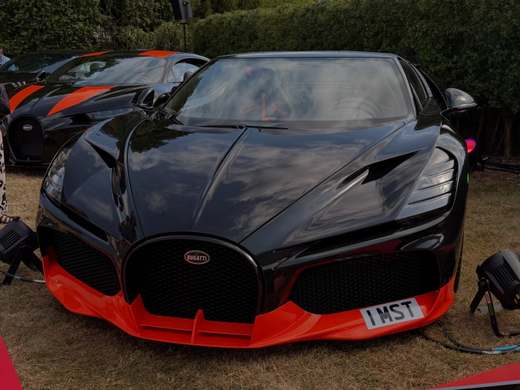 1 MST number plate – The Singh Collection