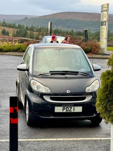 UK Number Plate PDZ 1 on a 2009 Silver Smart Fortwo Passion Cdi Auto